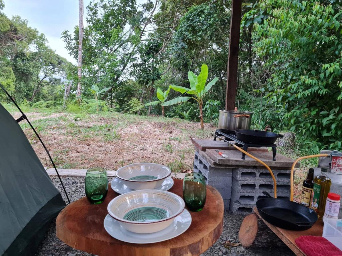 科隆 Jungle Eco Reserve酒店 外观 照片