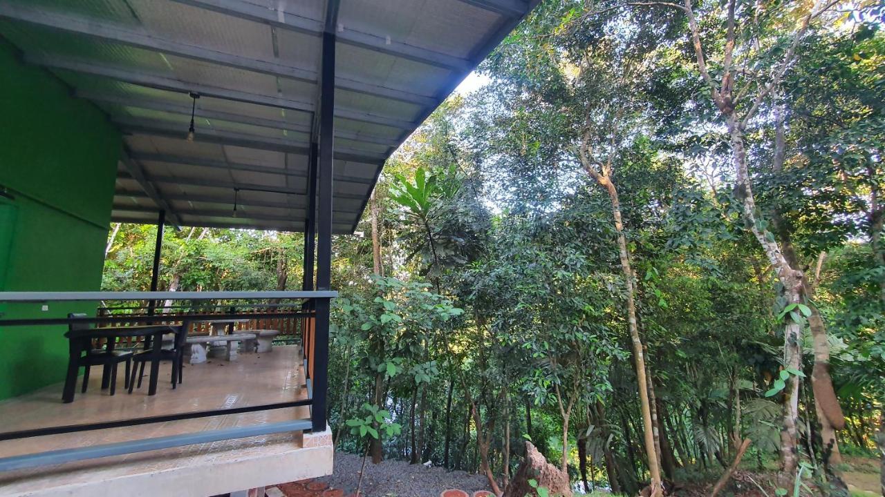 科隆 Jungle Eco Reserve酒店 外观 照片