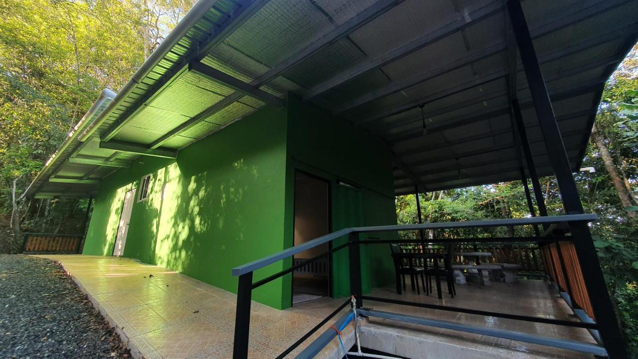 科隆 Jungle Eco Reserve酒店 外观 照片