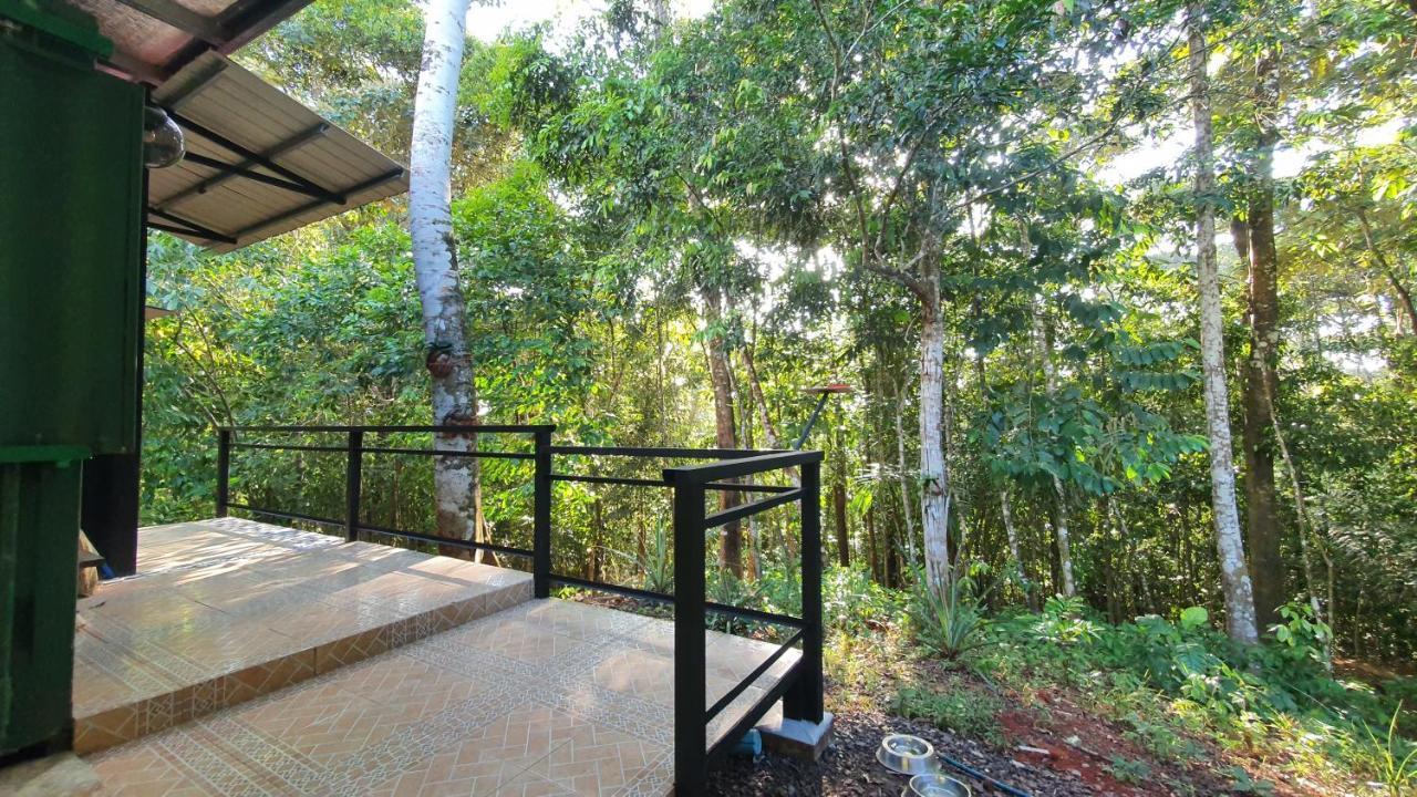 科隆 Jungle Eco Reserve酒店 外观 照片