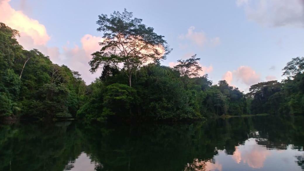科隆 Jungle Eco Reserve酒店 外观 照片