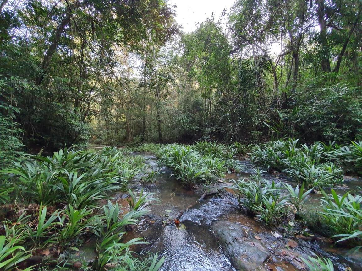 科隆 Jungle Eco Reserve酒店 外观 照片